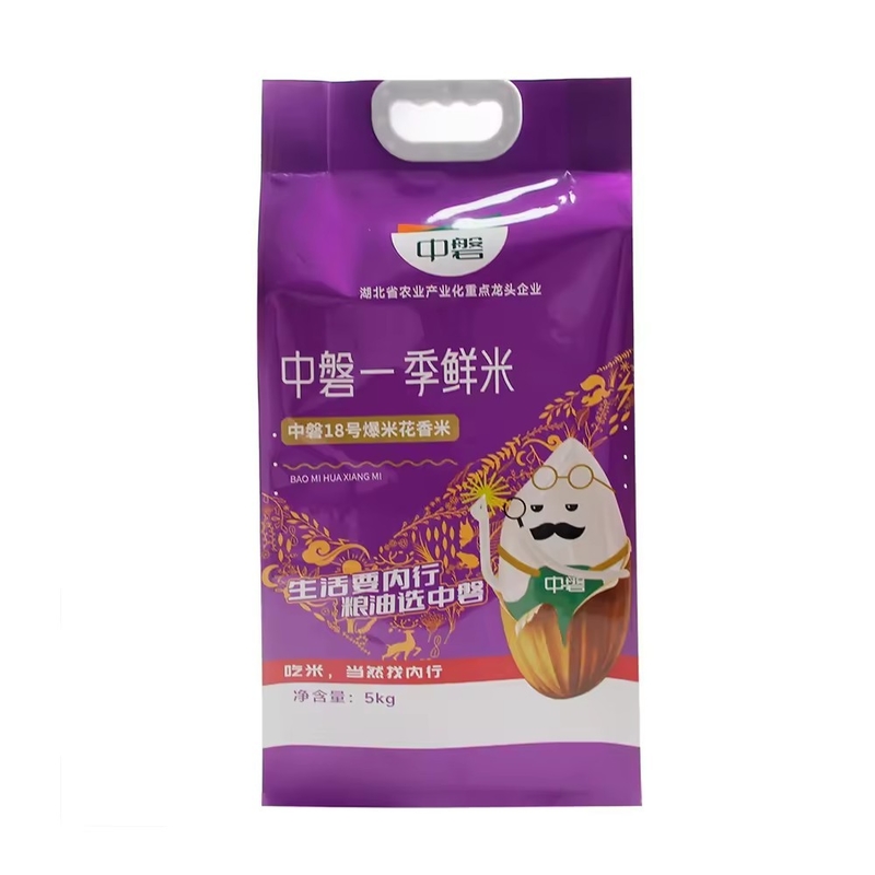 Custom transparent PA/PE Plastic packaging vacuum bags Food storage packing pouch Rice brick bag